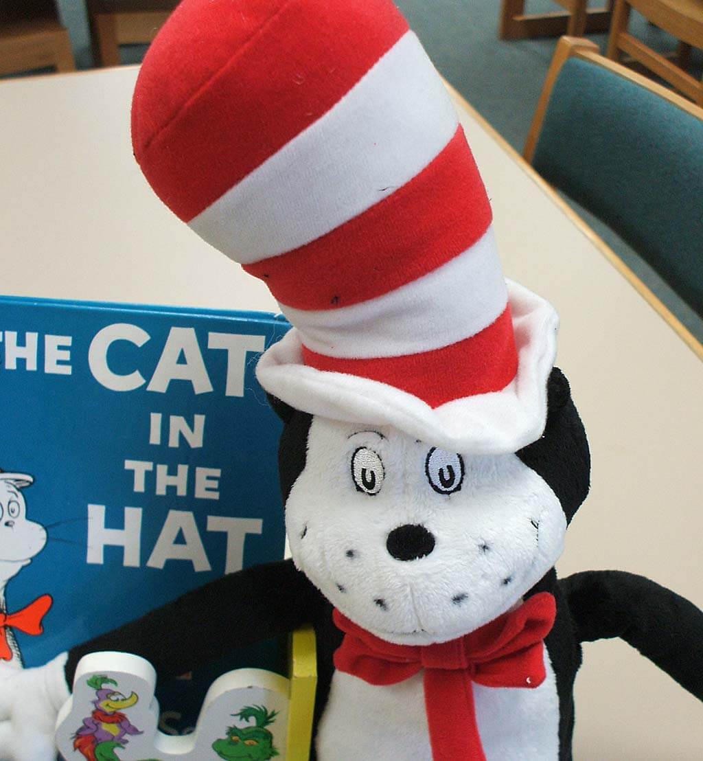 Cat In The Hat Dr